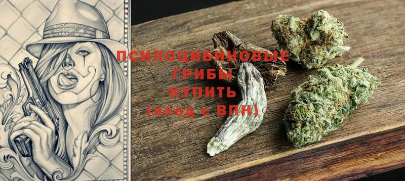 Галлюциногенные грибы MAGIC MUSHROOMS  Буинск 